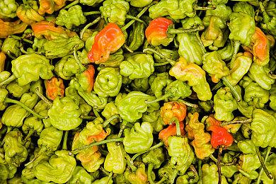 《In Style》Steam页面上线 赛博朋克TPS新游